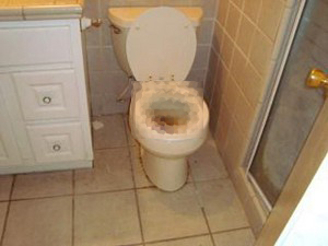 toilet